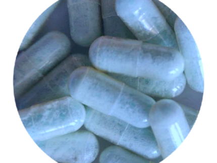 Buy Blue Dolphin MDMA