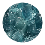 Buy Blue Dolphin Molly