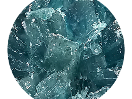 Buy Blue Dolphin Molly