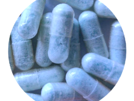 Buy Blue Freezie MDMA Capsules