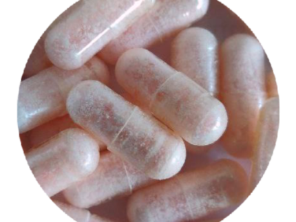 Pink Rhino MDMA Capsules